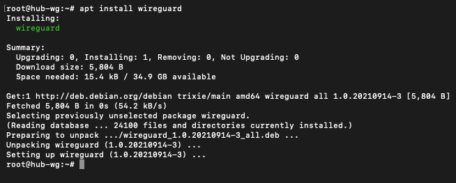 WireGuard install