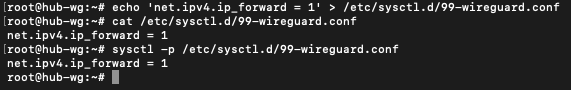 sysctl forwarding configuration