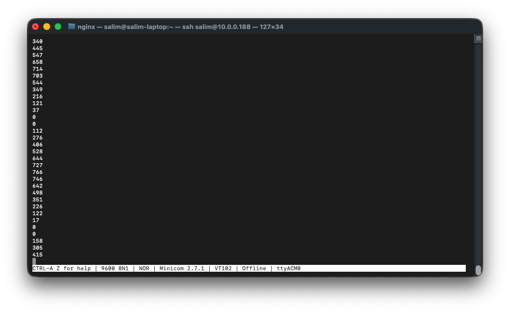 Minicom output
